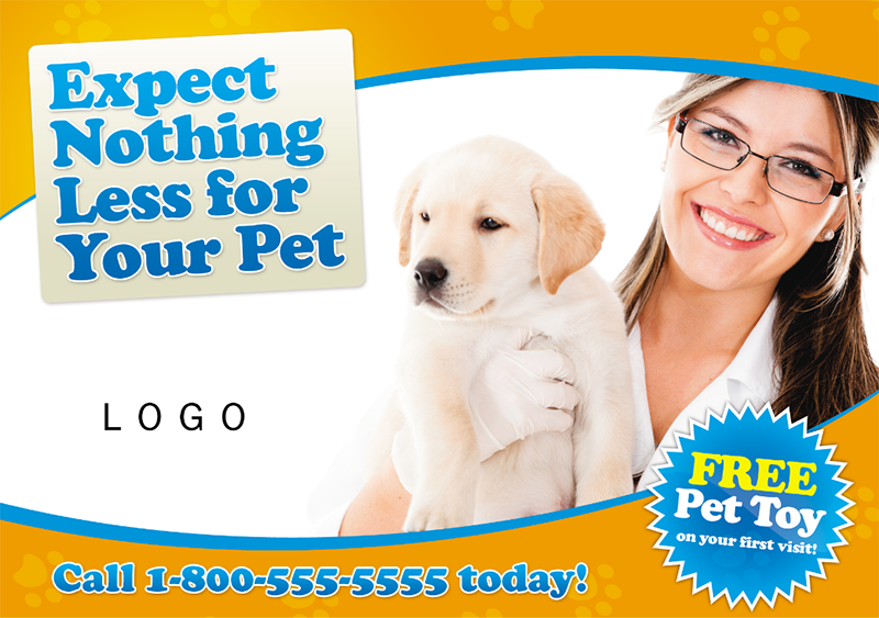 veterinarian postcard example