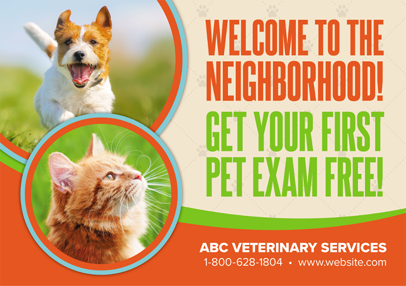 veterinarian postcard example