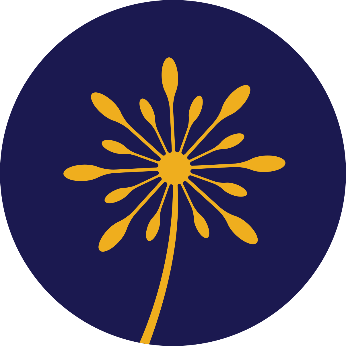 Automatic CUFinder integration for sending direct mail